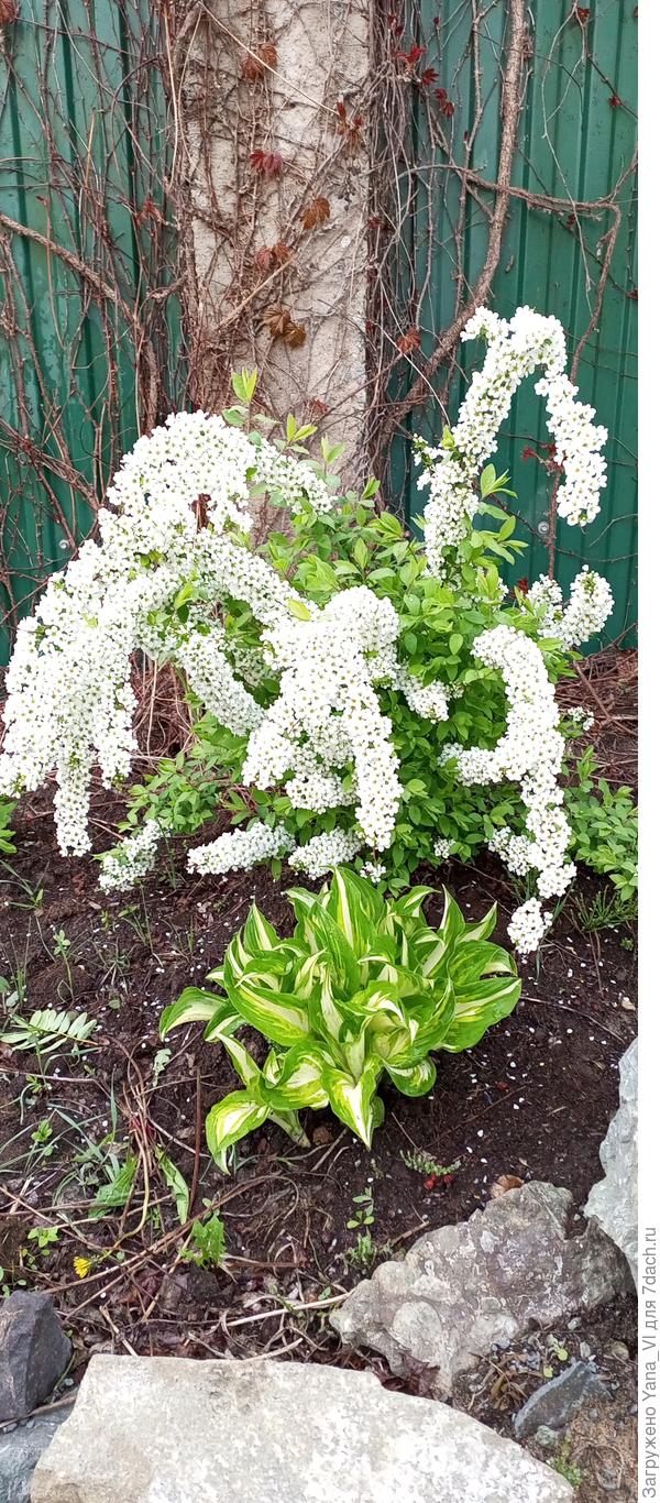 Но есть и красота, которая спасает. Не уверена, что мир... но моё душевное состояние - точно!