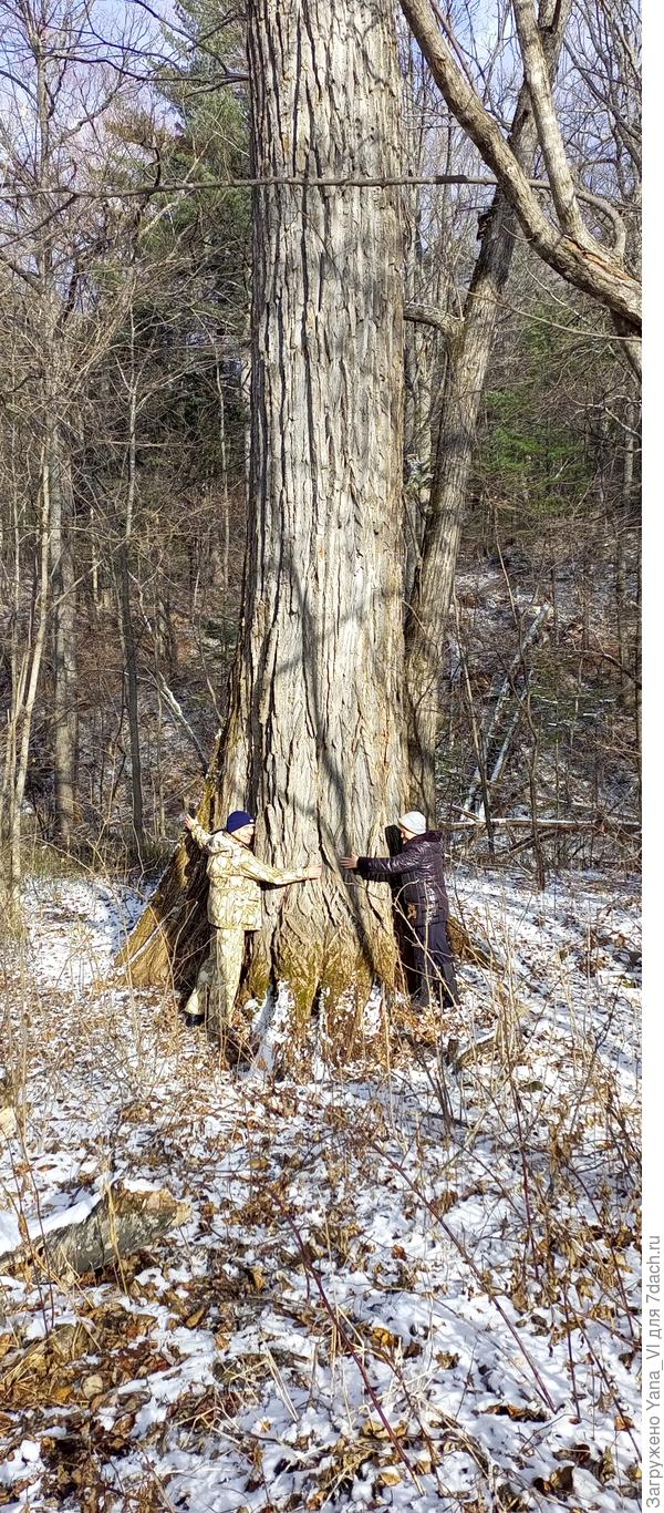 Просто великаны!