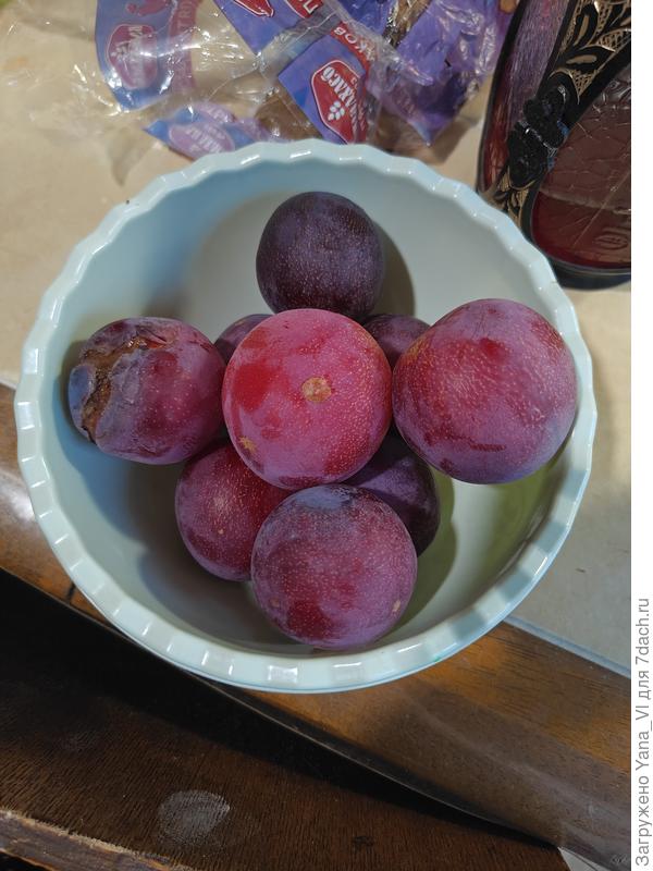Можно сказать, это и есть почти весь урожай :)