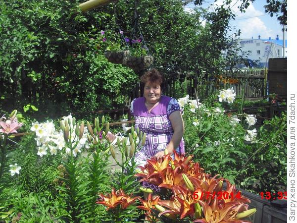 Вот ее лилии, а в кашпо ее петуньи!!