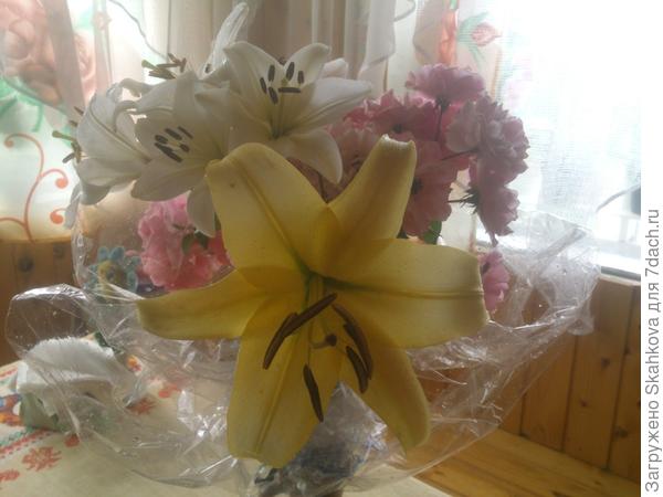 Вот так КРАСАВИЦА...