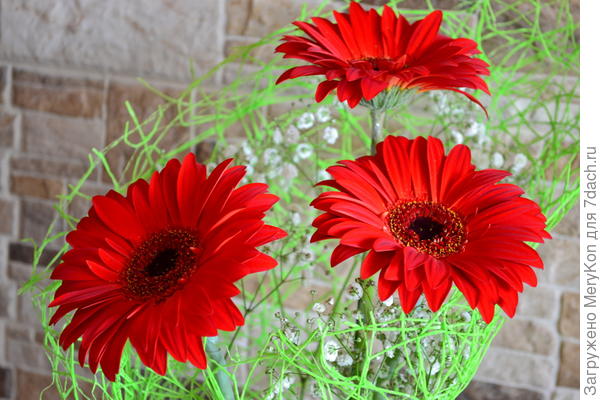 Мой скромный букет имениннику!