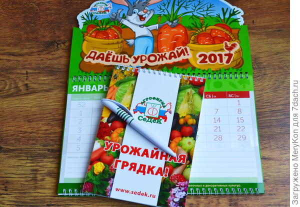 лук