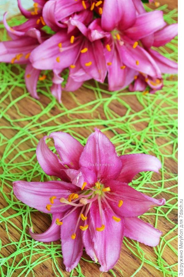 Само очарование!