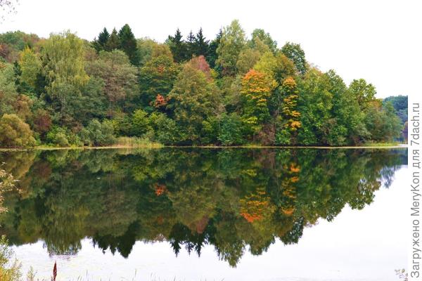 Моя любимая осень:)