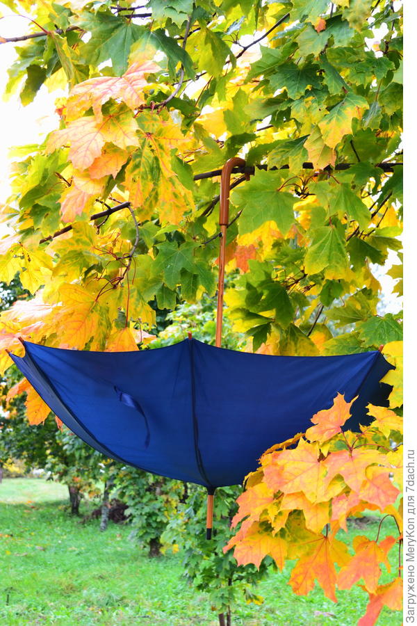 На просушке:)