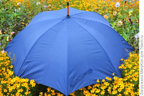 Шапочка на клумбе:)