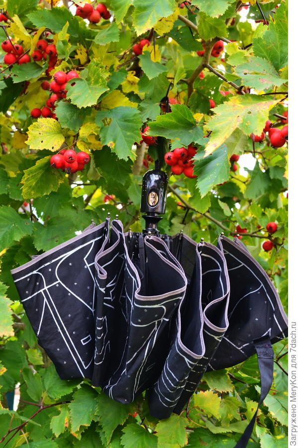 Нашли друг друга:)