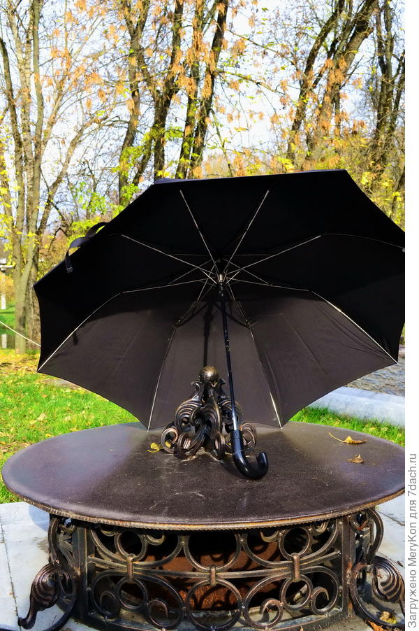 Зонт укрывает от дождя и не ценить его нельзя!:)