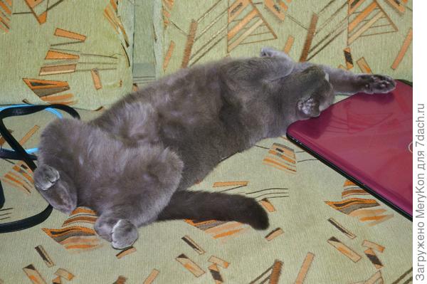 Отдых после трудов праведных!:)