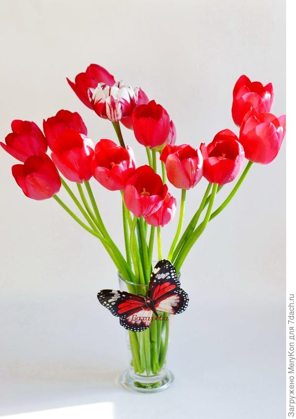 А какая ж весна без тюльпанов?!:)