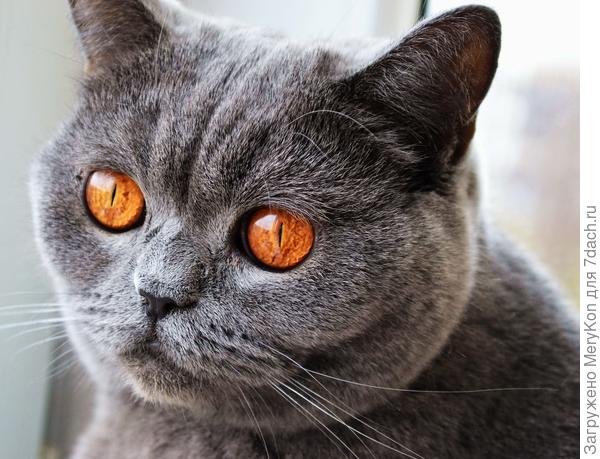 Неужели март? Не могу поверить!:)