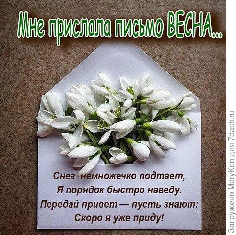 А пока....последние дни марта, а за окном метель:(