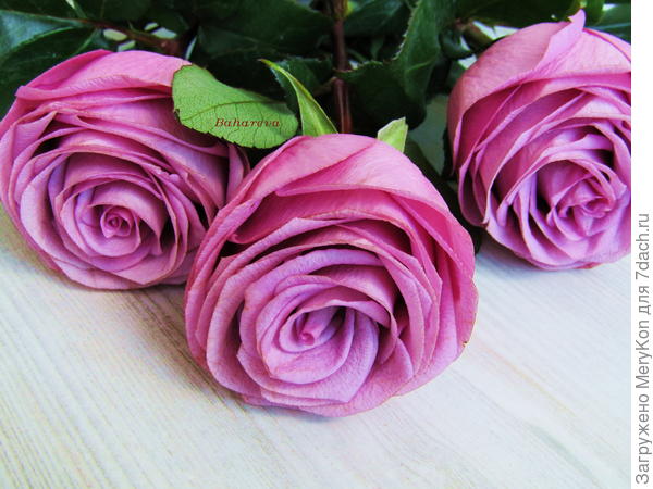 Для увлеченного мужчины!!!:)