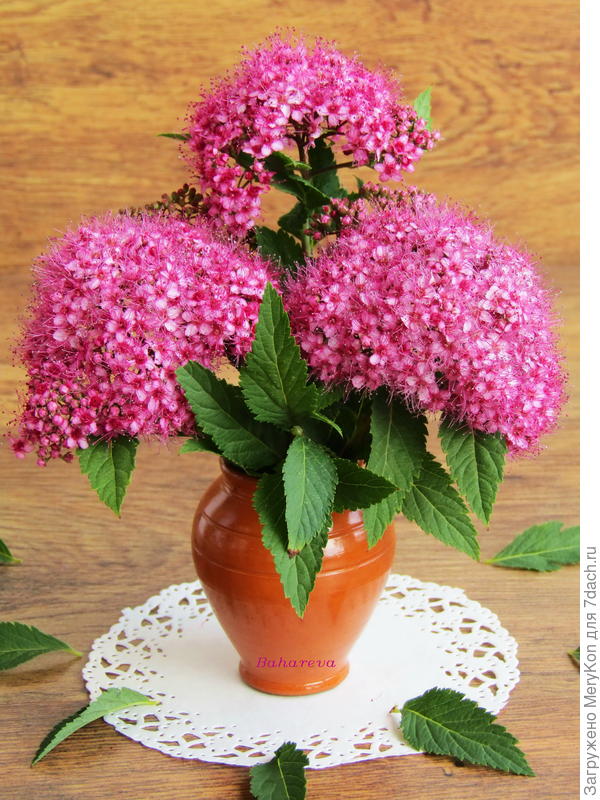 Этот скромный букетик в твою честь!!!