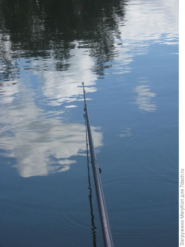 Ловись рыбка большая и ...побольше:)