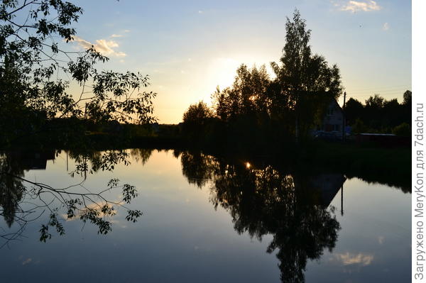 Живая природа сказочна и безгранична!!!