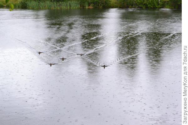 Строгая геометрия?)