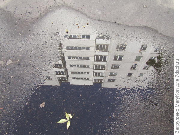 ..его можно найти даже под ногами ,в крошечной луже)