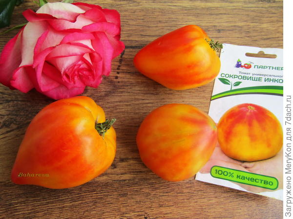 Полюбившиеся всей семье помидорки