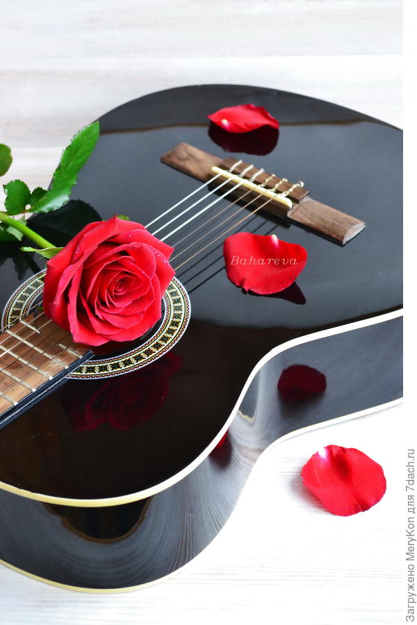 В Вашу честь!!!