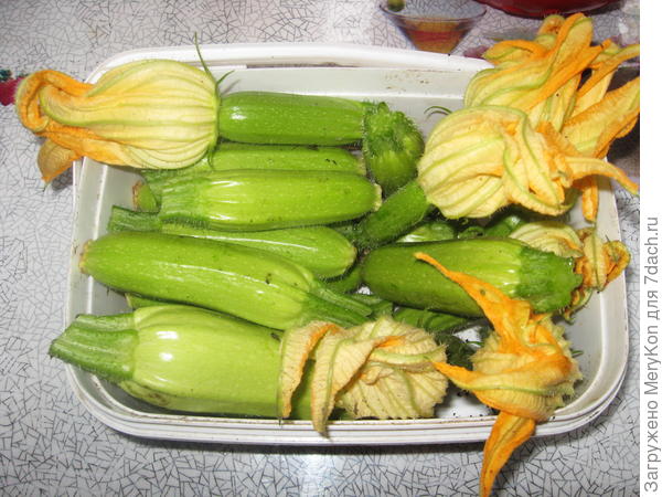 кабак