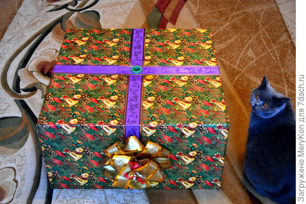 Уже сидит в надежде что скоро будет ёлка:)