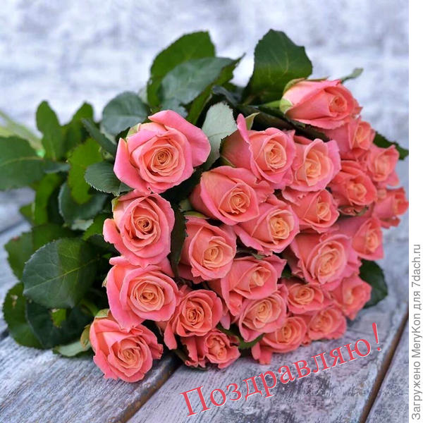 Розы в вашу честь!!!!