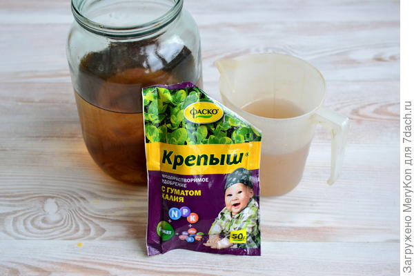 Фаско