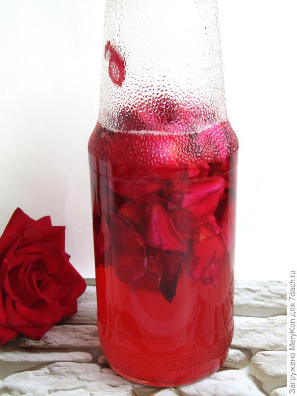 Вино из лепестков роз пошаговый рецепт с фото домашнего приготовления