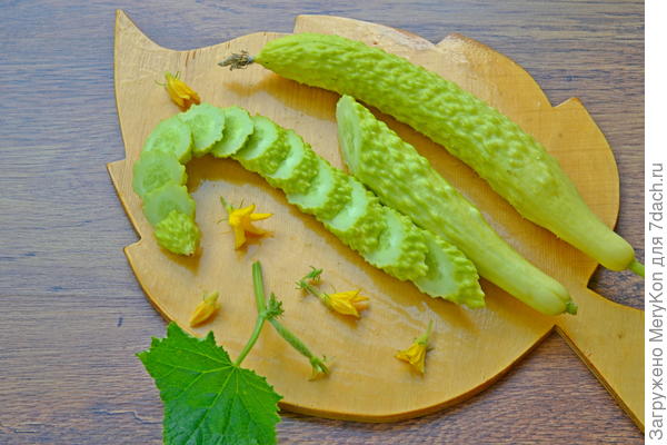 Белый змей в нарезке:)