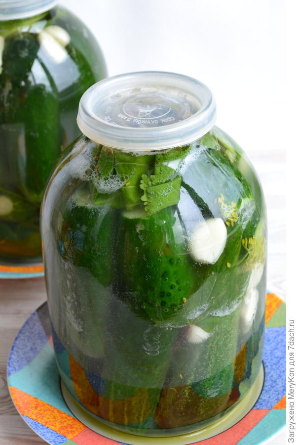 Вот они уже дома начали подтекать.