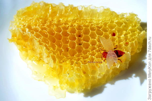 Всем сладкого дня!!!