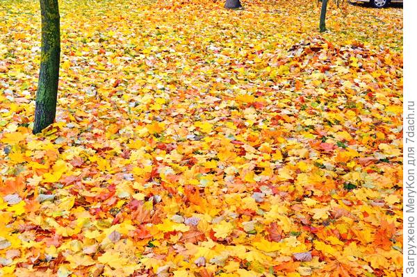 Земля цветаста как цыганские платки:)