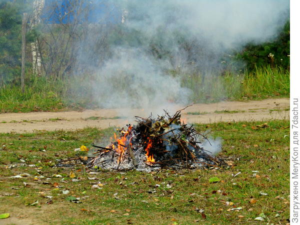 Мой не просто измельчитель, а полностью уничтожитель:)