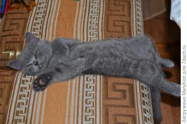 Совсем крошка.