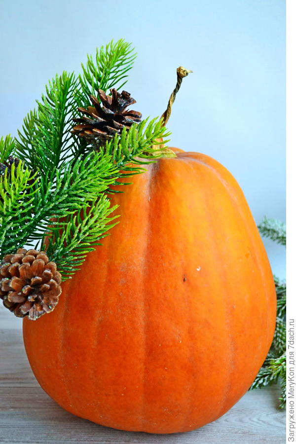 ...и к Новому году получаем вкуснятинку.)