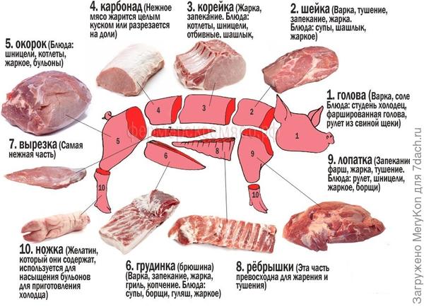 Фото инет (для иллюстрации)