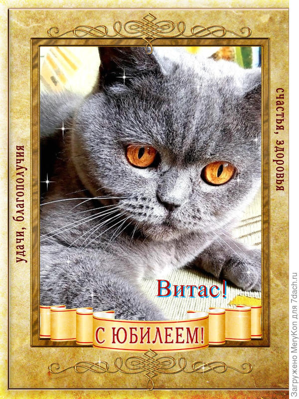 Всех кошачьих благ желает Бусинка!:)