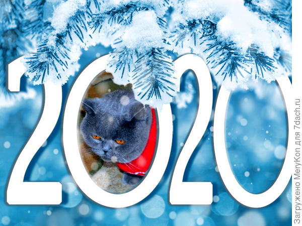 Поджидаем мышку с нетерпением:)