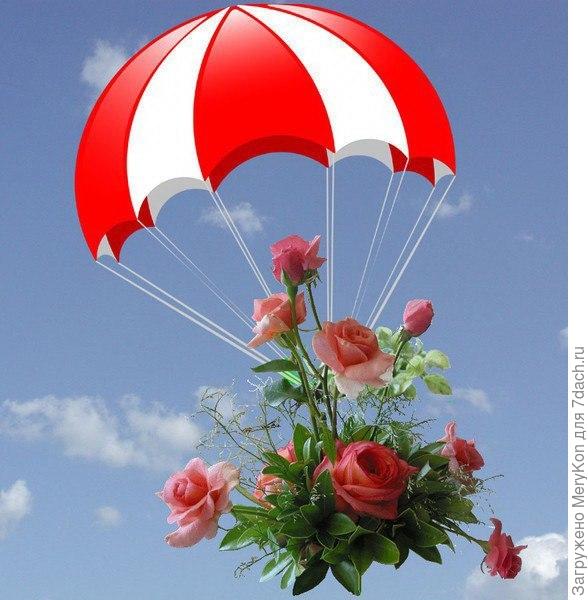 Поскольку у вас Д.Р. один на двоих, то решите сам кому парашютик, а кому букетик:)