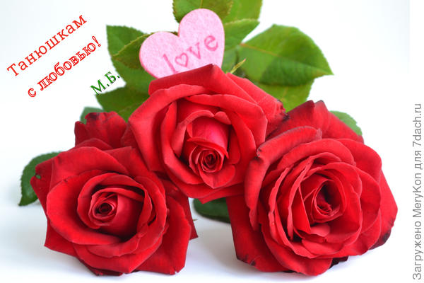 Танюшки, Танечки, Татьяны - розы в вашу честь!!!