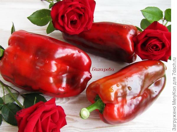 Из серии &quot; Полководцы&quot;.