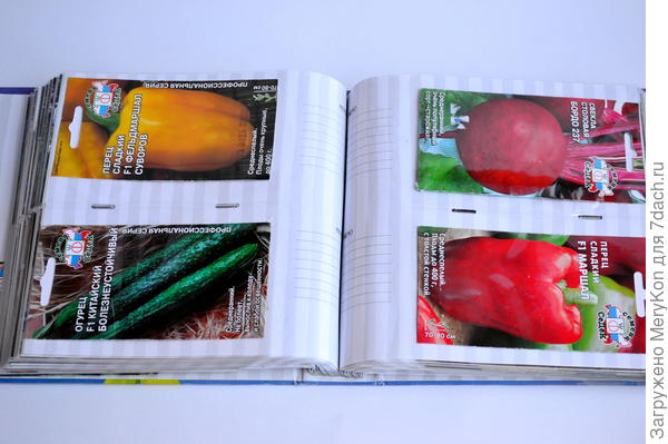 Слева внизу.