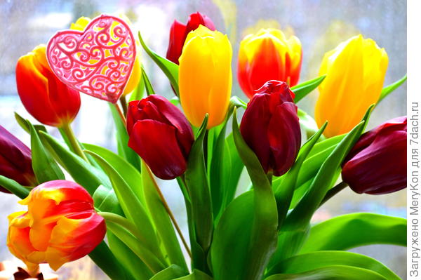 Эти яркие краски в вашу честь!!!