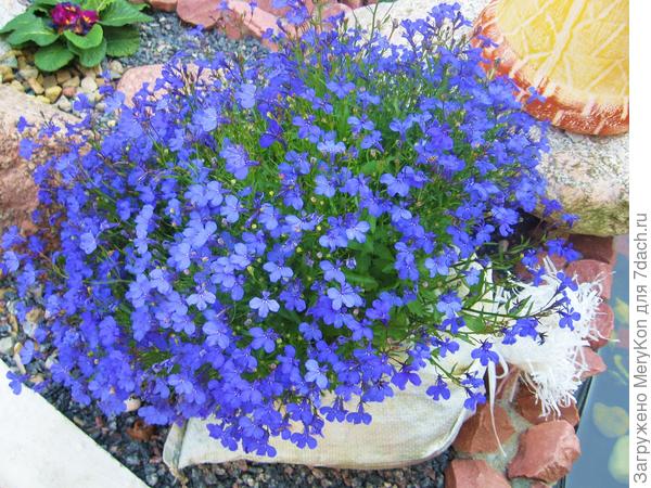 вот такой результат получила.