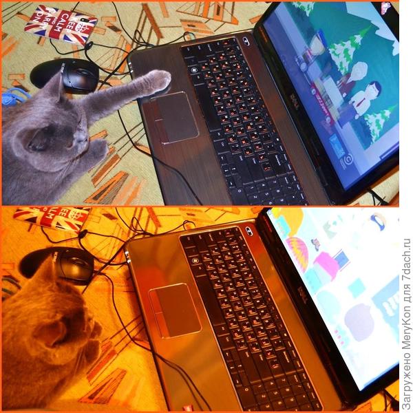 Буся - продвинутый пользователь:)