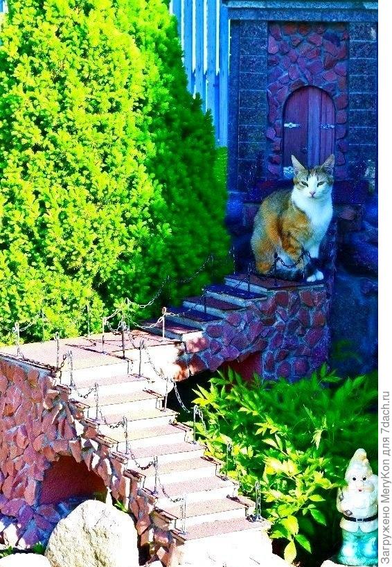 Неизвестная приблуда:)