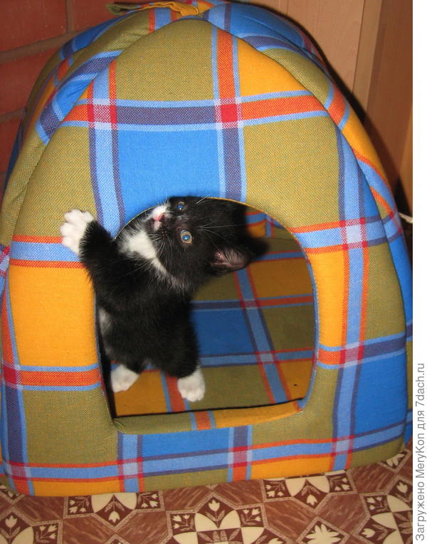 И где же здесь выключатель?!