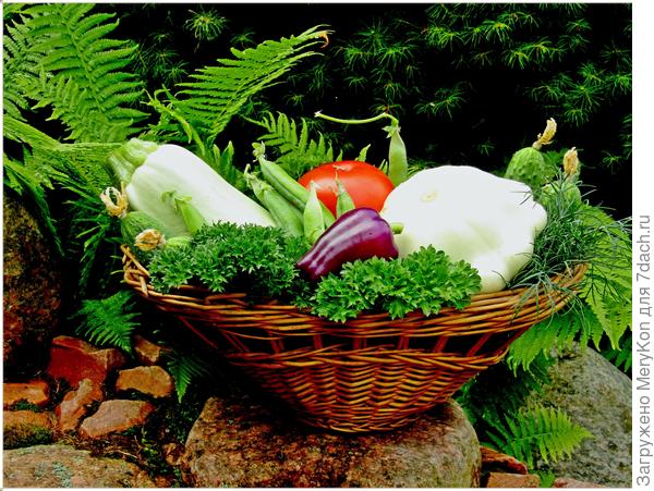 Моя корзинка в вашу честь!!!